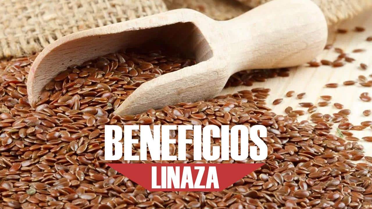 Propiedades, usos y beneficios de la linaza