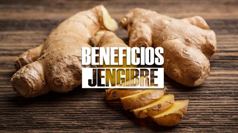 10 Beneficios Del Jengibre Y Sus Propiedades Curativas 2040