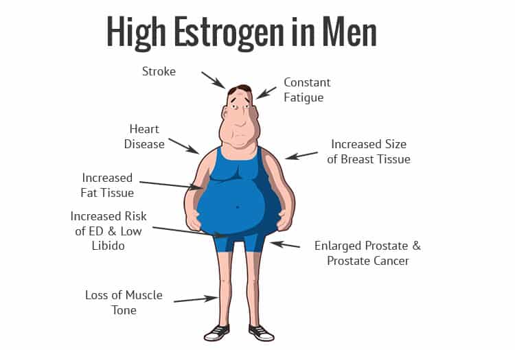 Altos niveles de Estrogeno en hombres son perjudiciales
