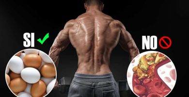 Alimentos para aumentar masa muscular