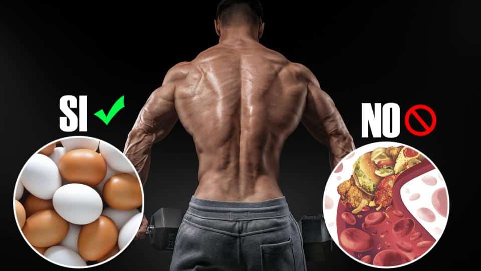Alimentos para volumen muscular