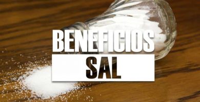 beneficios de la SAL