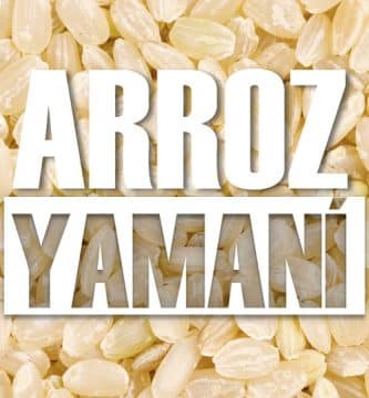 arroz yamaní