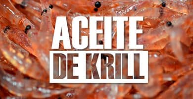 aceite de krill