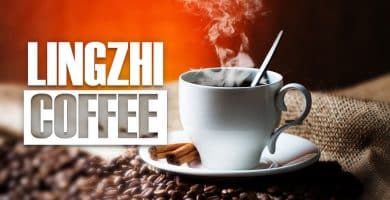 LINGZHI COFFEE