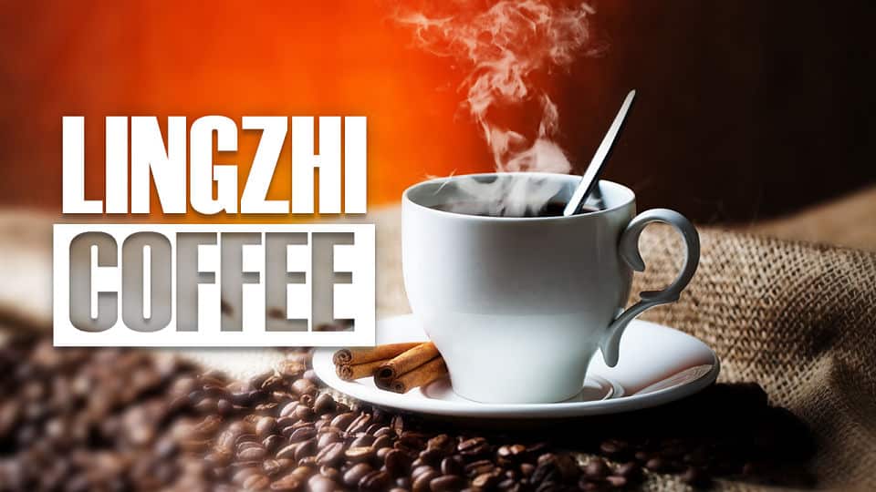 LINGZHI COFFEE