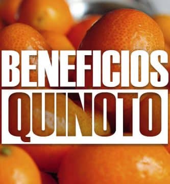 beneficios del quinoto