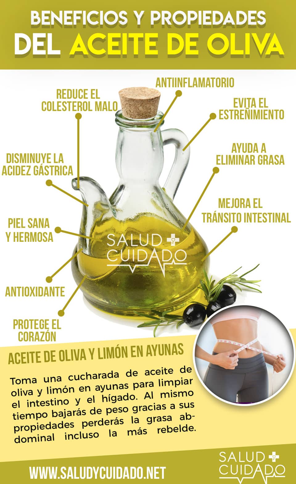 Aceite de oliva extra virgen Infografía