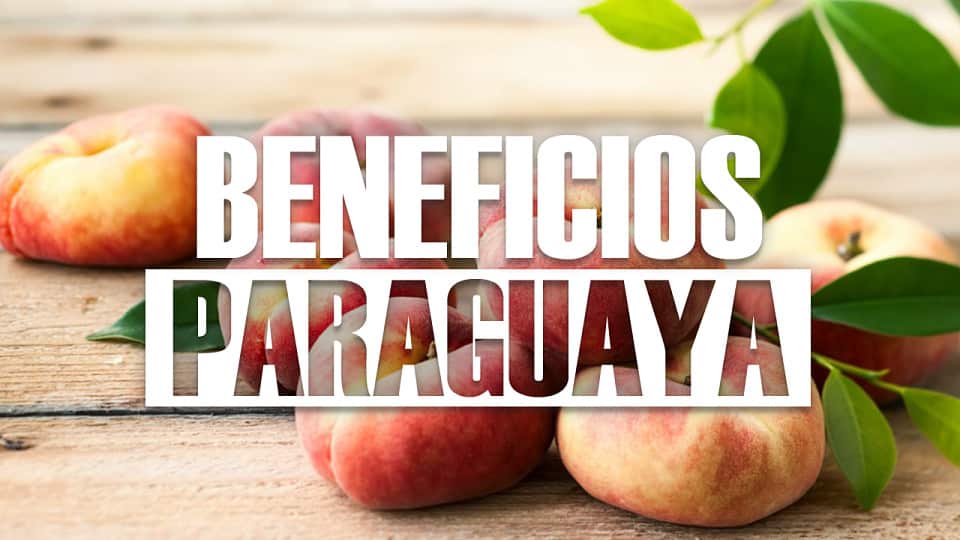 Propiedades de la paraguaya ¿Para qué sirve y cuáles son sus Beneficios?