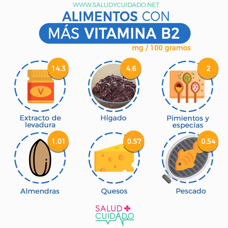 VITAMINA B2 Alimentos más ricos en vitamina B2