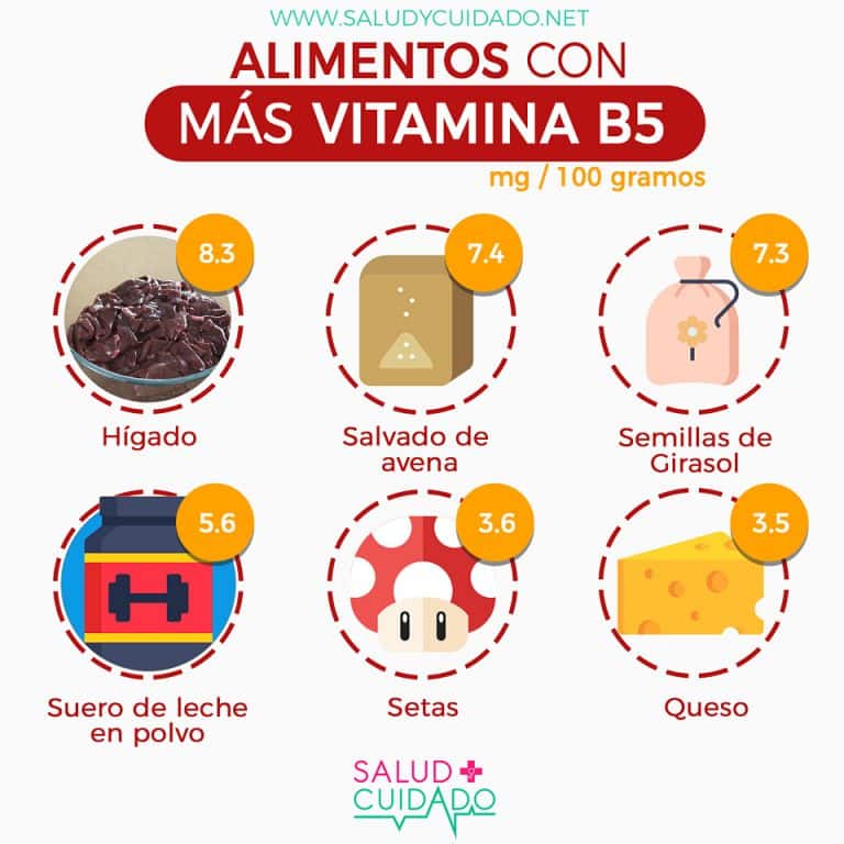 Vitamina B5 (Ácido Pantoténico) - Funciones, Alimentos Y Dosis